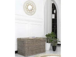 Arca De Arrumação Em Kubu De C100 X L55 X A55 Cm Cor Cinza Natural - Timgad