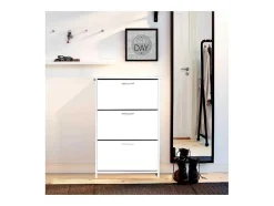 Armário De Sapatos Triplex, Branco, 72X25,5X112 Cm, Epikasa