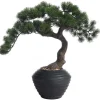 Arvore Artificial Bonsai A.53 - Asrame