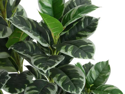 Arvore Artificial Calathea Com Vaso A.150 - Lusake