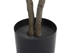 Arvore Artificial Calathea Com Vaso A.150 - Lusake