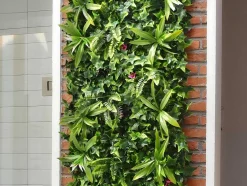 Revestimento De Parede Vegetal Sintetico Verde, Pack De 3M - Ikaz