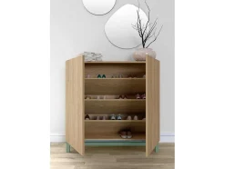 Sapateiro/Móvel Organização - H90Cm X L90Cm X P27Cm Carvalho Dourado Pernas Verde - Copenhague